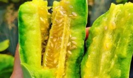 梦见送人嫩瓜吃,揭秘送人嫩瓜吃的神秘寓意