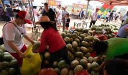 万客隆吃瓜比赛,瓜王争霸，欢乐无限