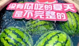 外卖吃瓜现场,揭秘美食与娱乐的完美融合