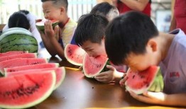 镇南吃瓜比赛,一场舌尖上的狂欢盛宴