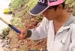 天元邓刚吃瓜,揭秘吃瓜背后的故事与真相