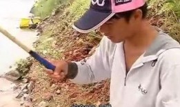 天元邓刚吃瓜,揭秘吃瓜背后的故事与真相