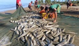 瓜哥吃瓜缅甸北部,缅甸北部吃瓜之旅