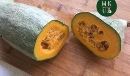 贵族南瓜可以吃嫩瓜吗