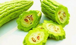 小卜丁吃瓜,小卜丁的瓜田奇遇记