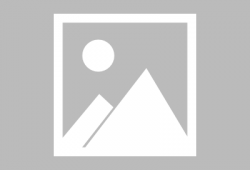 吃瓜表情包狗头,笑翻朋友圈