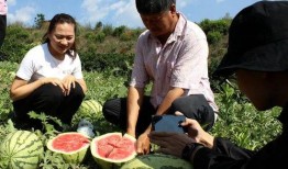 真人吃瓜的群众,揭秘娱乐圈幕后真相