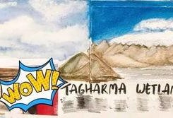 朝阳吃瓜群众2,揭秘娱乐圈背后的故事