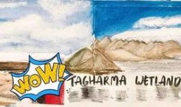 朝阳吃瓜群众2,揭秘娱乐圈背后的故事