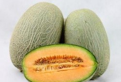 不能和什么一起吃哈密瓜,揭秘不能与哪些食物同食
