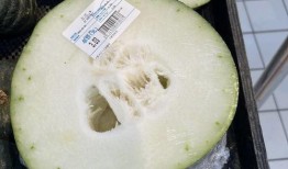 市职校吃瓜,揭秘校园里的“瓜田”风云