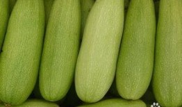 吃白瓜增肥吗