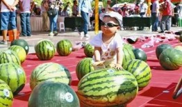 每日大赛吃瓜入口官方,揭秘精彩瞬间，畅享赛事盛宴