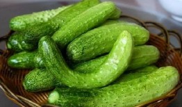 马嘉琪吃瓜,揭秘娱乐圈幕后故事