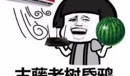 带你吃瓜搞笑奇葩题材