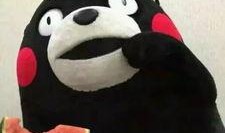 小汪不帅吃瓜,揭秘娱乐圈幕后故事