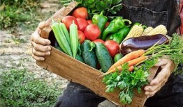 广州郊区吃瓜视频,短视频带你一探究竟