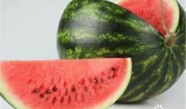 吃梨瓜有什么好处,润肺生津，健康生活好伴侣