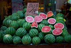 吃瓜历史图片,从古至今的吃瓜历史图鉴