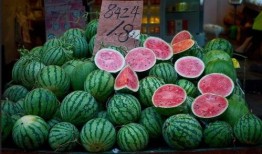 吃瓜历史图片,从古至今的吃瓜历史图鉴