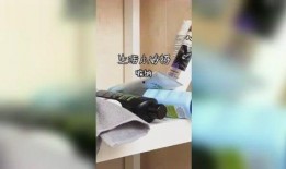 吃瓜姐妹社,揭秘娱乐圈背后的那些事儿