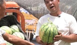 夏邑吃瓜事件始末,一场网络舆论的风波与反思