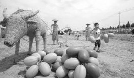 武陟的吃瓜事件