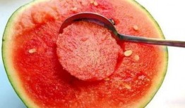 吃瓜泡泡鱼,吃瓜泡泡鱼的独特魅力