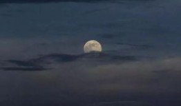 月光说吃瓜,探寻月光说吃瓜的神秘魅力