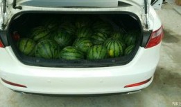 汽车品牌吃瓜,一场跨界狂欢