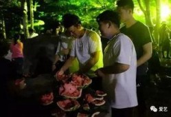 城市大学吃瓜事件,揭秘校园网络暴力的阴影面