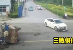 安徽客车司机吃瓜,见证奇闻轶事