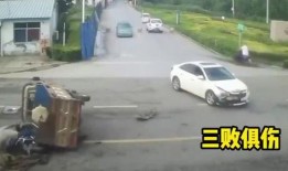 安徽客车司机吃瓜,见证奇闻轶事