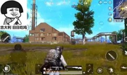 pubg吃瓜现场,PUBG“吃瓜”现场，一场精彩绝伦的电竞盛宴
