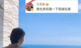 吃瓜老王的视频