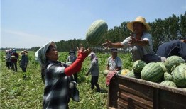 吃瓜安新一中,揭秘娱乐圈背后的故事