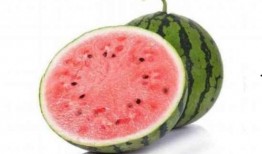 吃麒麟瓜腹泻,美味与腹泻的微妙平衡