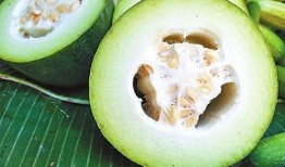 林小宝古代吃瓜,解锁古代吃瓜秘史