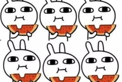 两人猜拳吃瓜,一场趣味横生的对决