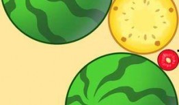 如何下载吃瓜网,畅享娱乐资讯新体验