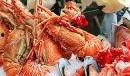 吃瓜多尔虾,揭秘吃瓜多尔虾的独特魅力