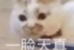 女人发吃瓜表情包,揭秘女性“吃瓜”表情包背后的社交心理