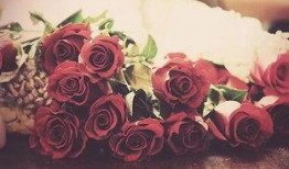 玫瑰快穿嘎嘎吃瓜,嘎嘎吃瓜，穿梭时空的甜蜜冒险