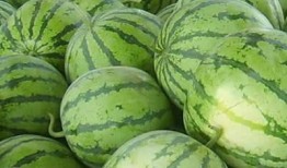 支招吃瓜,轻松成为“瓜界达人”