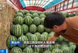 万客隆吃瓜比赛,瓜王争霸，欢乐无限