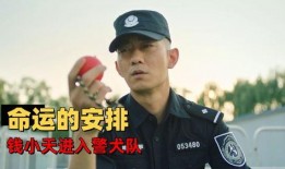 小汪不帅吃瓜,揭秘娱乐圈幕后故事