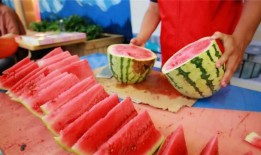 吃小白瓜图片真实大全,新鲜美味尽收眼底