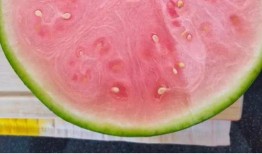 中国人吃瓜vs老外吃瓜,揭秘中西饮食差异