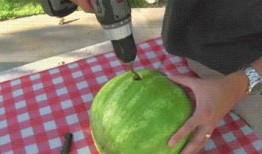 吃瓜没吃全的感受,滋味难评——吃瓜未尽的独特体验