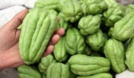 吃佛手瓜危害,佛手瓜食用不当的危害揭秘